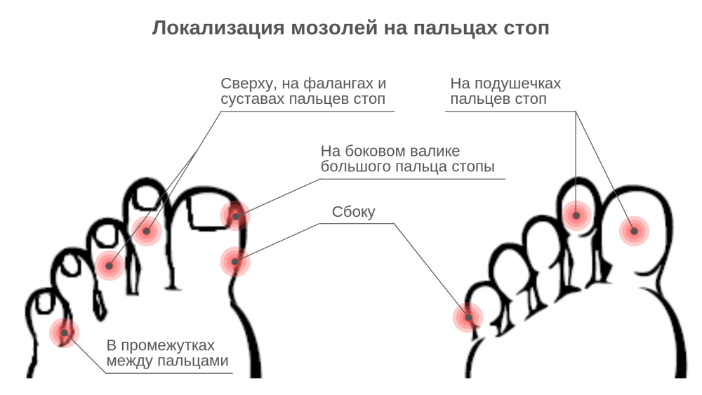 Волосатый член в заднице