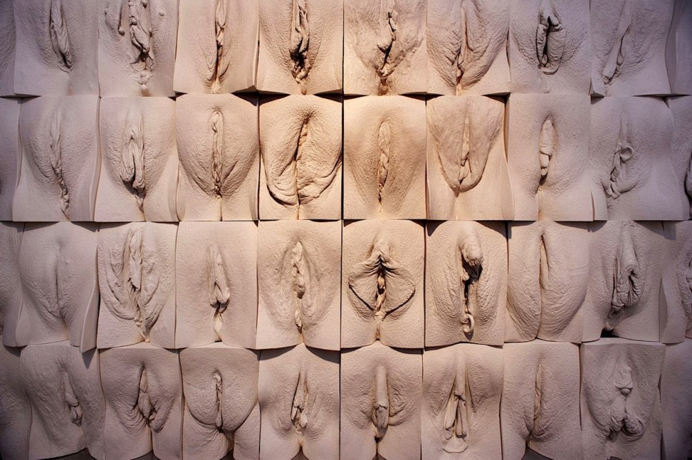 Член в волосатой киске крупно