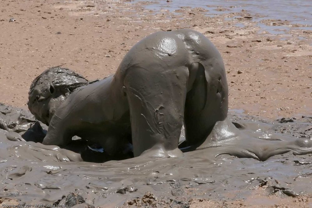 Девушки большая грудь в грязи