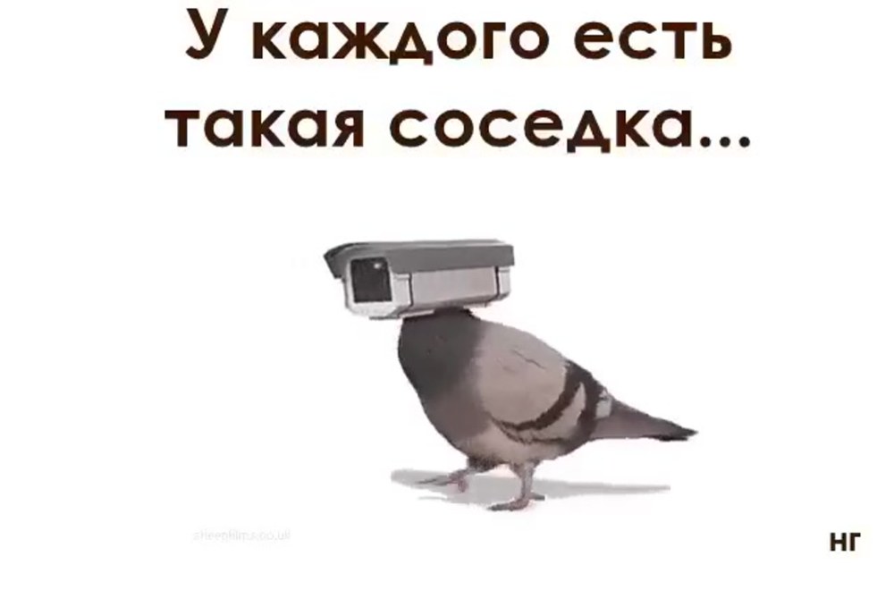 Гиф у каждого есть такая соседка