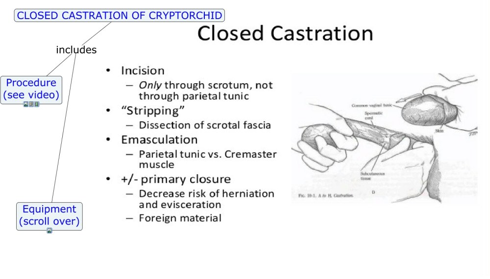 Comic castration искусственная