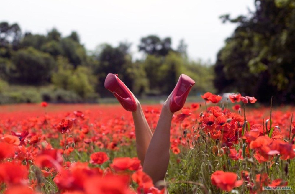 Цвета для мужчин