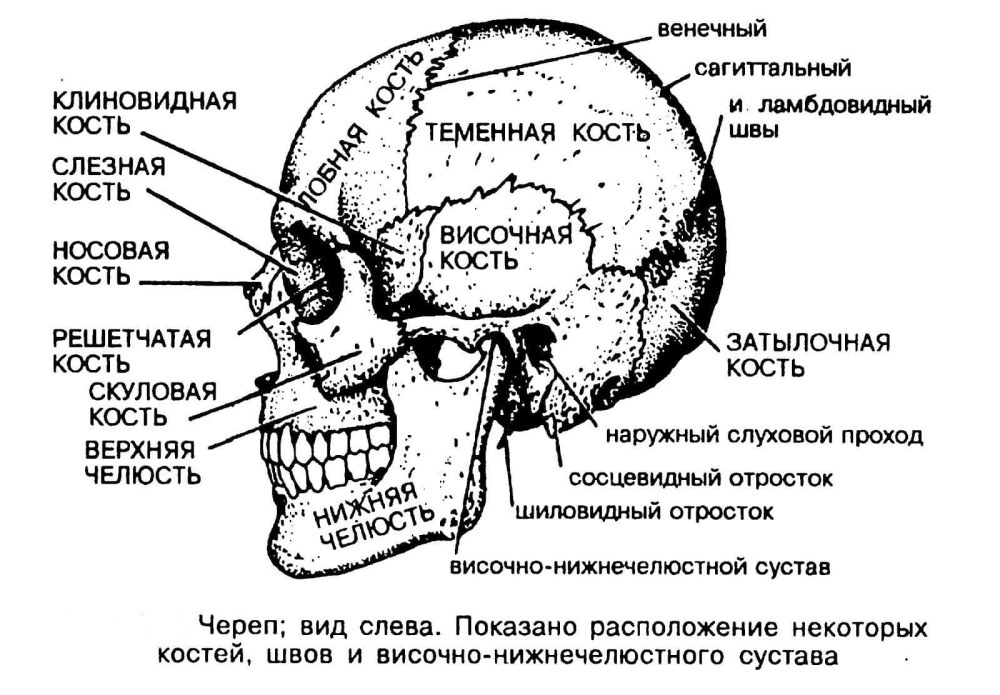 Китайские знаки