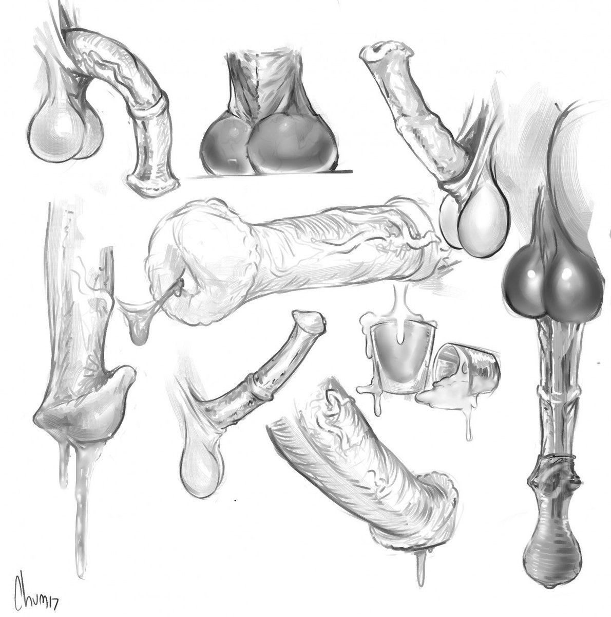 Анатомия секса рисунки порно видео
