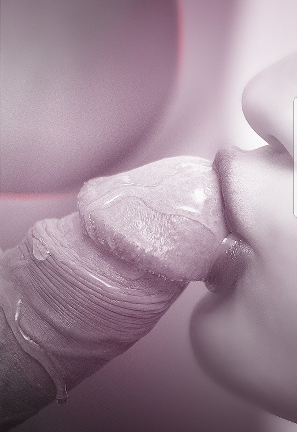 Эротический поцелуй члена