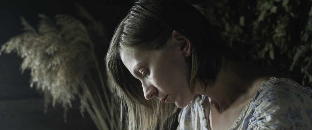 Лес 2018 Роман Жигалов