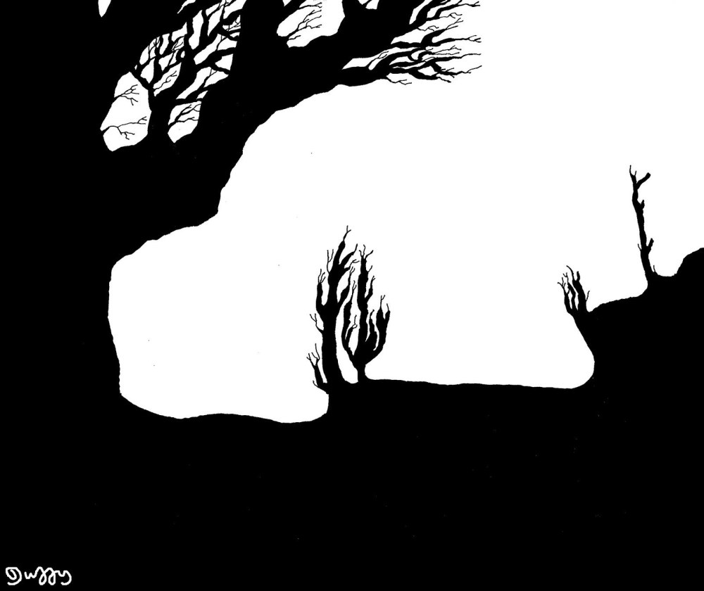 Зрительные иллюзии психология чб