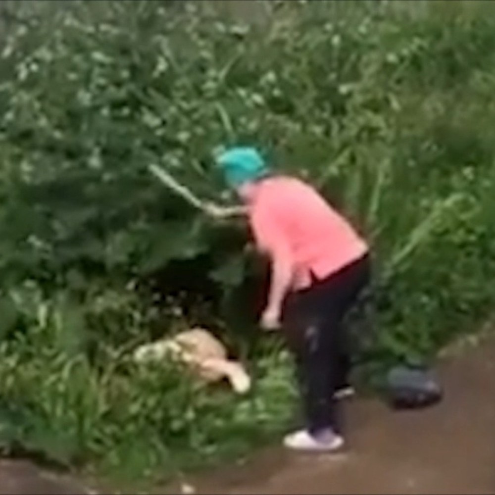 Заснял парочку в кустах
