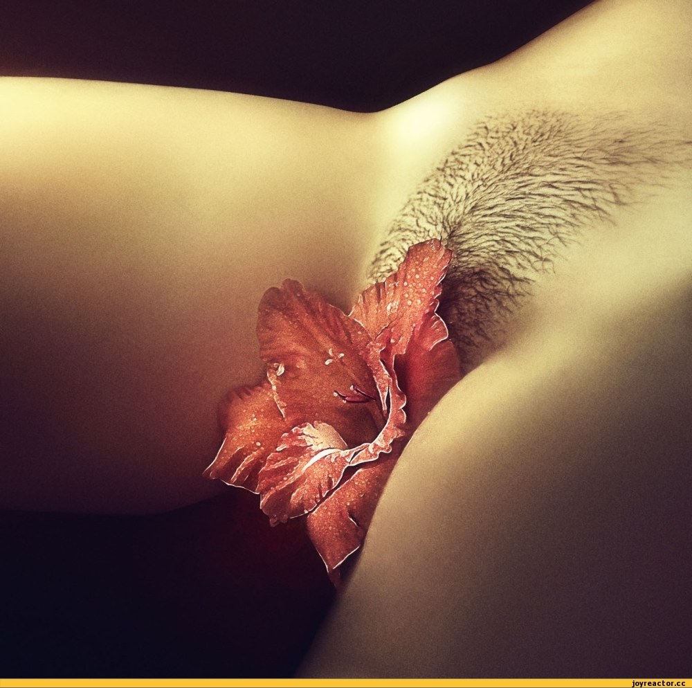 Вагина художественное фото