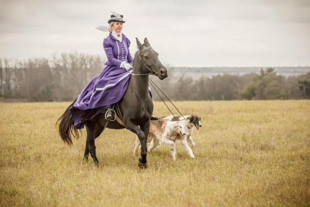 Дама на коне