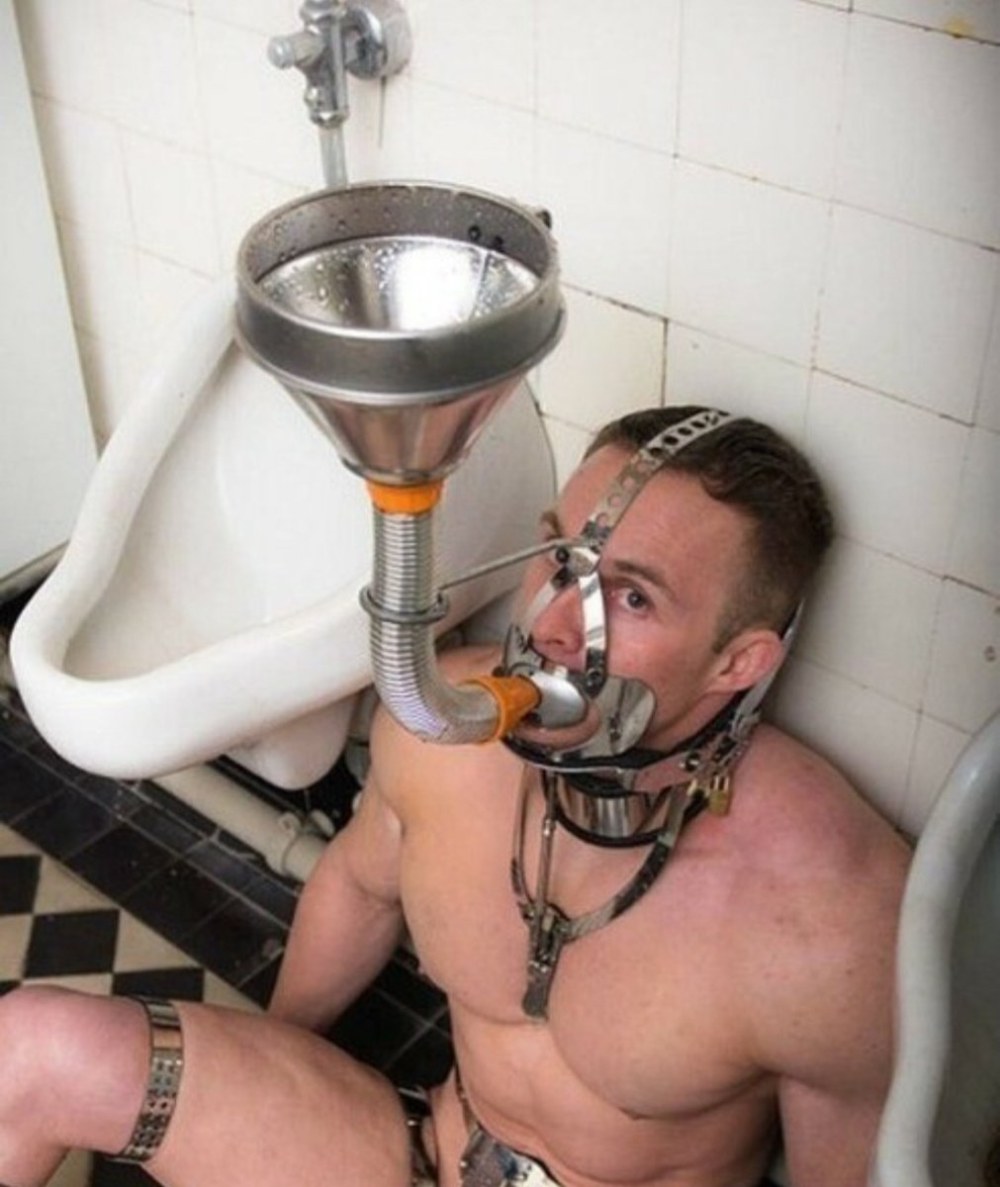 Туалетная тематика бдсм