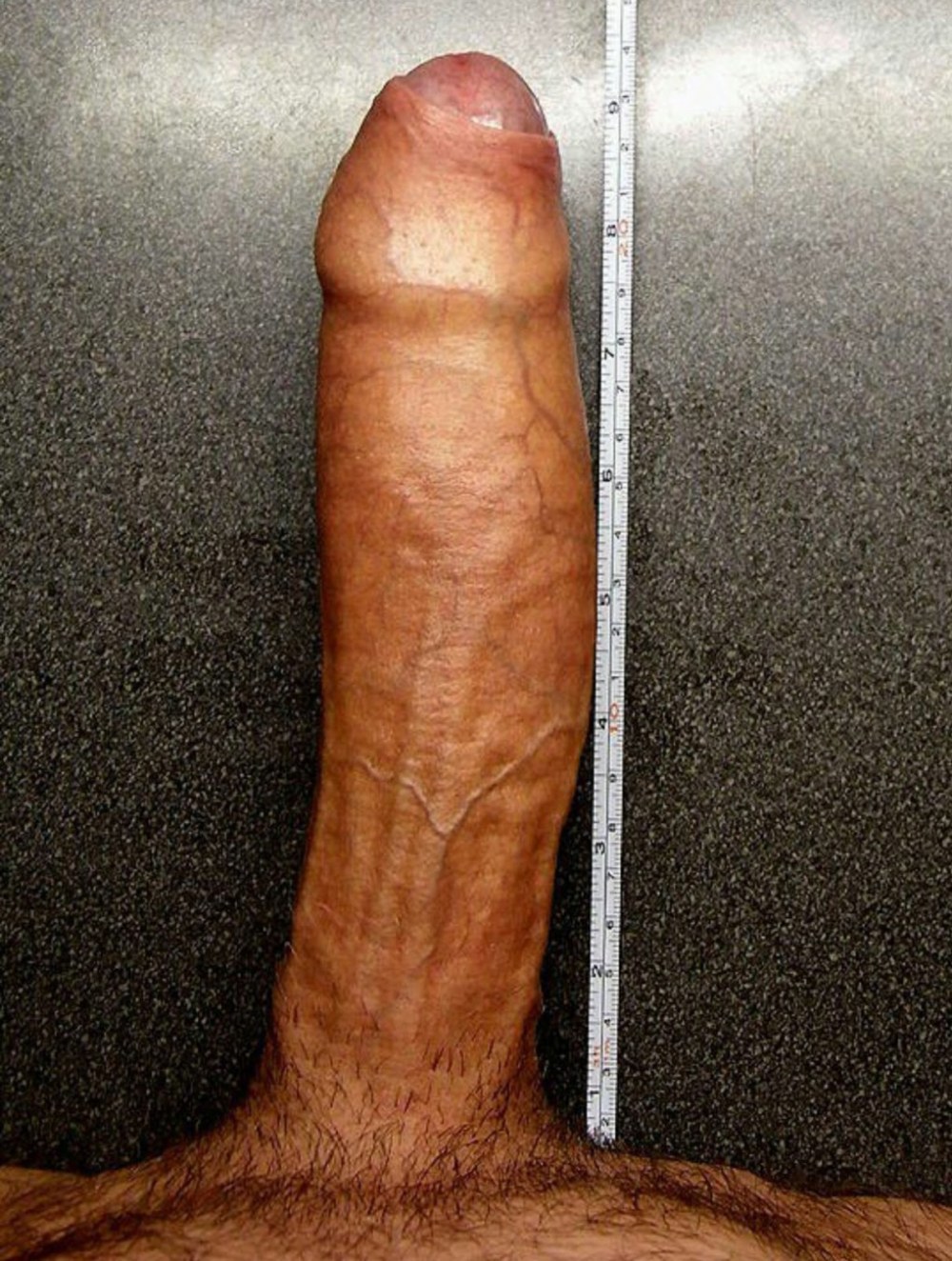 Член 23 см