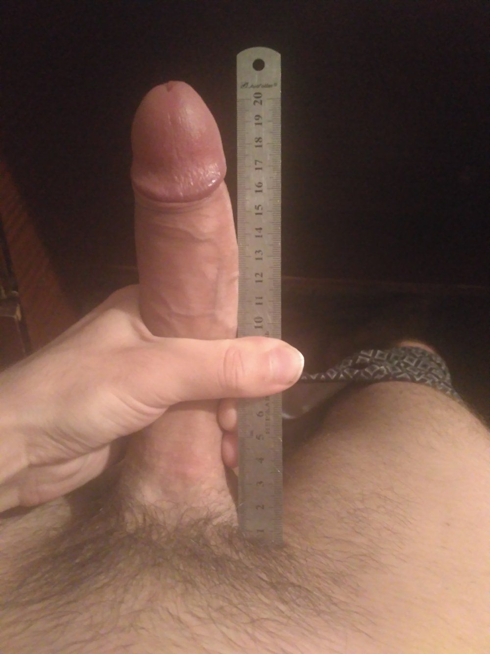 Член 17 см